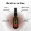 Kit Completo Para Crescimento de Barba - Barber Line 8 BTV - Site Oficial kit completo para crescimento de barba barber line 919467