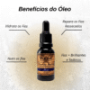 Óleo para Barba - Linha Mar - Viking 3 BTV - Site Oficial oleo para barba linha mar viking 330036